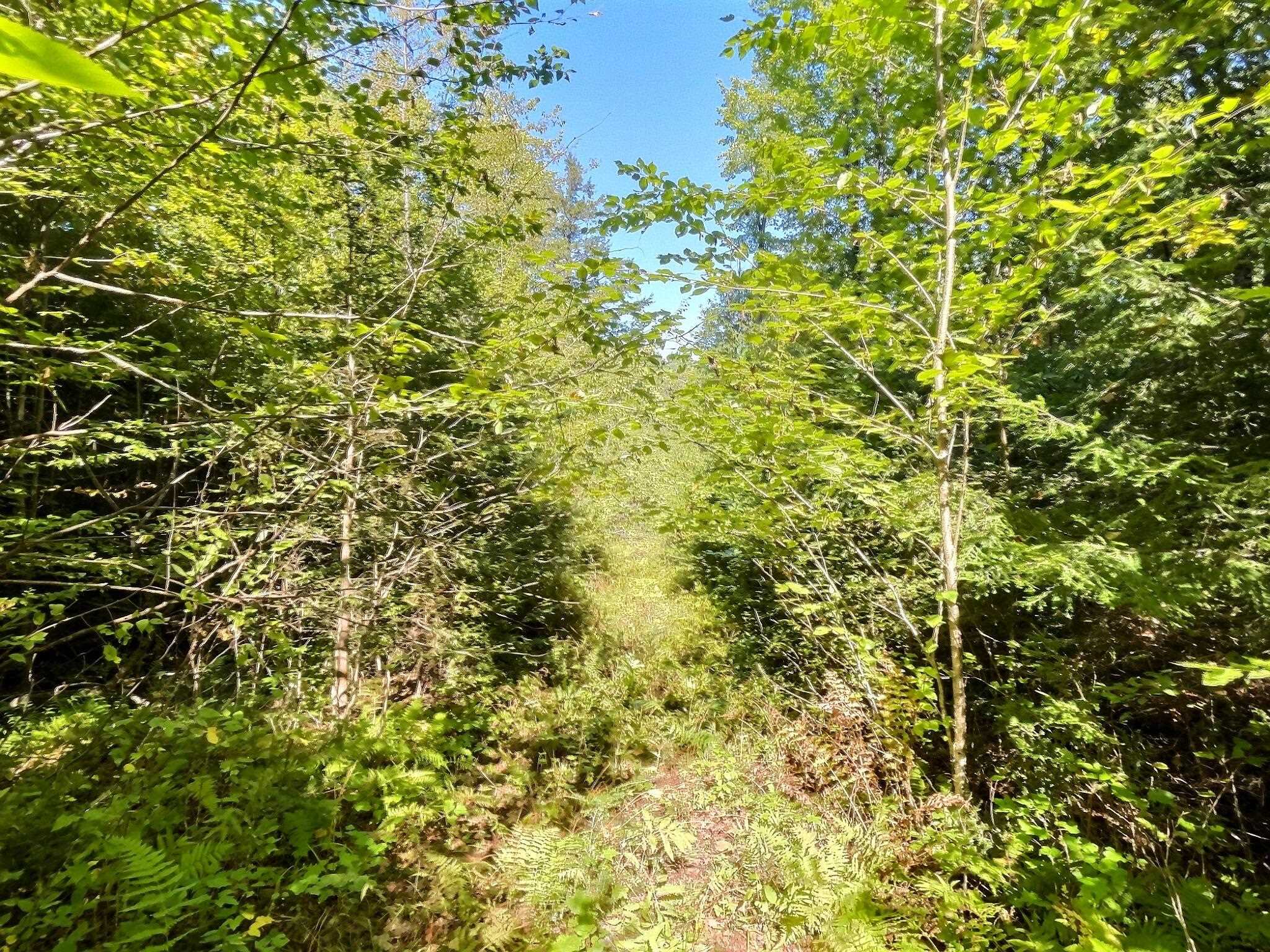 0 Chandlers Mill Road Newport, NH 03773 - Photo 14 of 25 Gallery Image 14