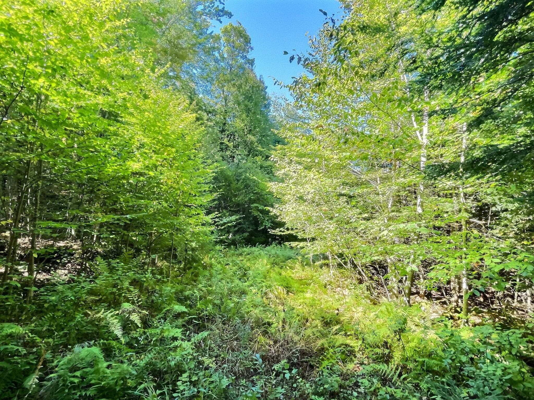 0 Chandlers Mill Road Newport, NH 03773 - Photo 15 of 25 Gallery Image 15