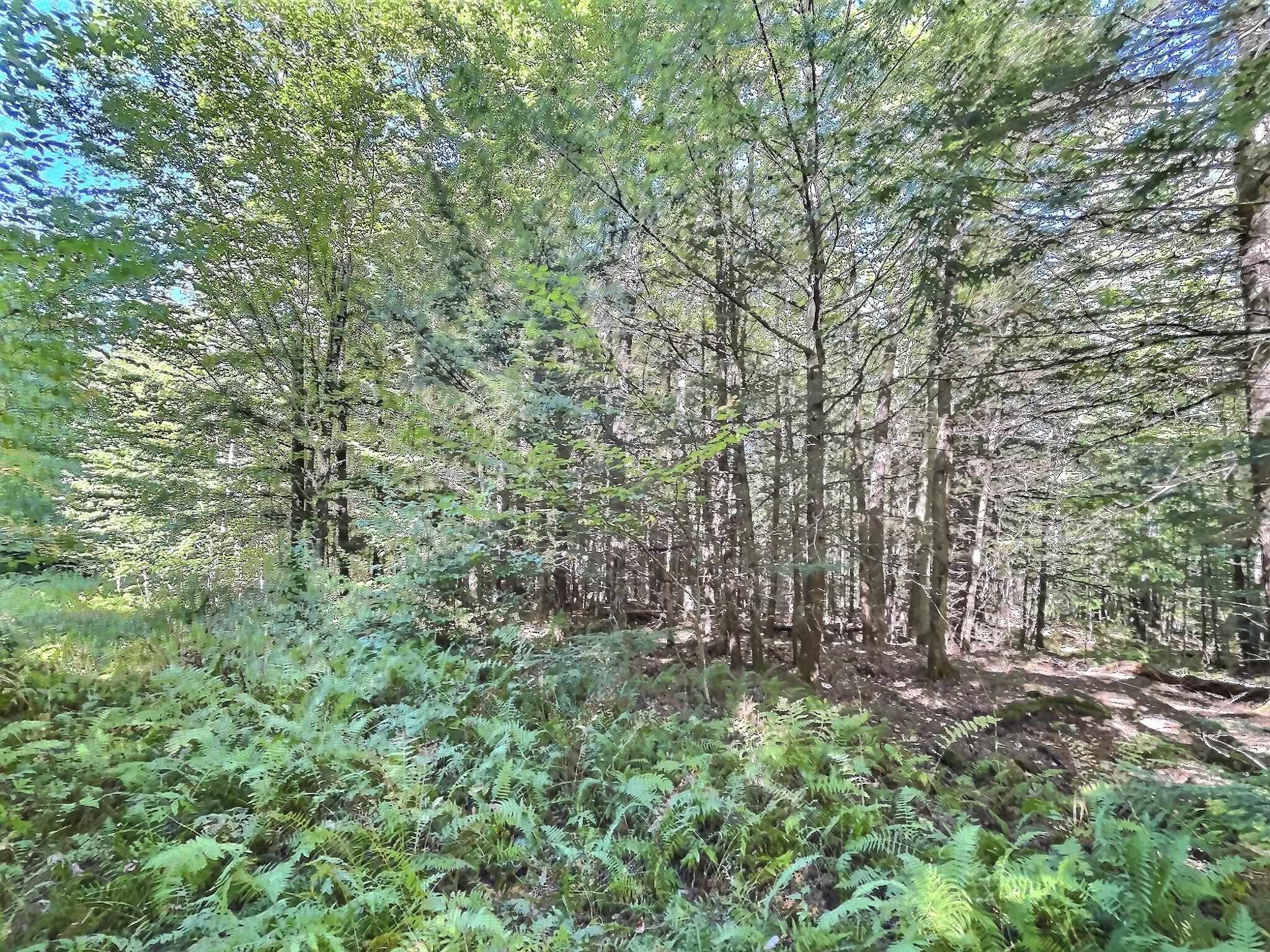0 Chandlers Mill Road Newport, NH 03773 - Photo 16 of 25 Gallery Image 16