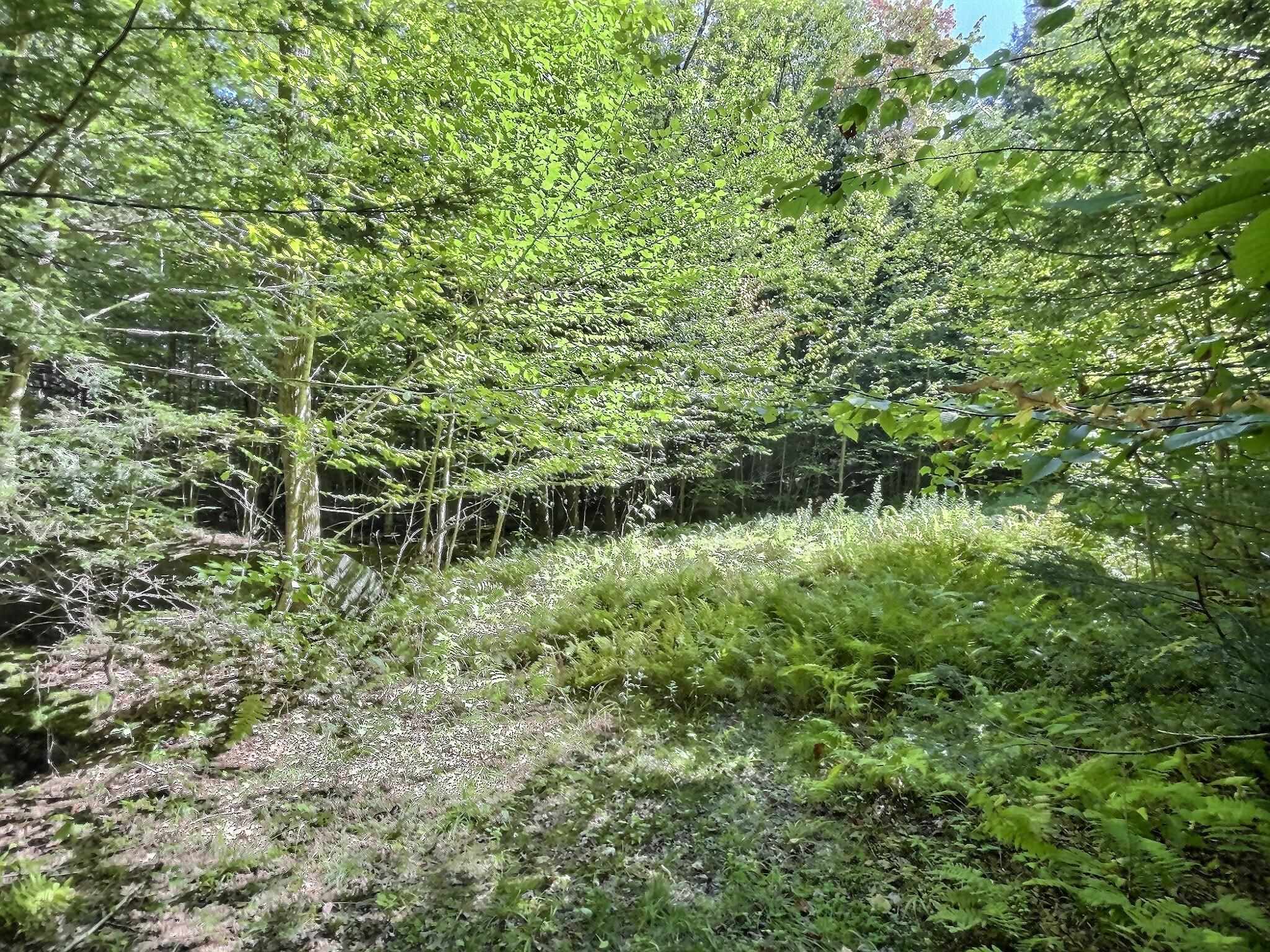 0 Chandlers Mill Road Newport, NH 03773 - Photo 17 of 25 Gallery Image 17