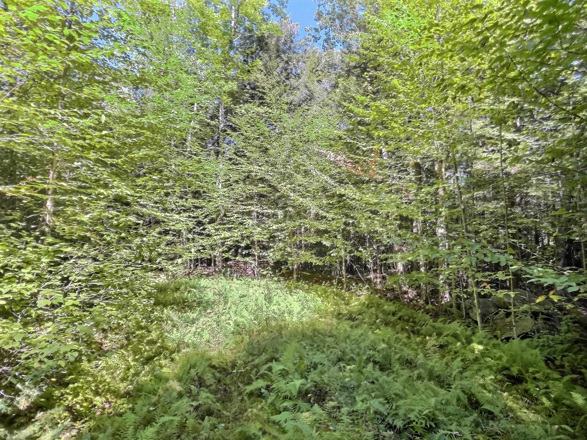 0 Chandlers Mill Road Newport, NH 03773 - Photo 18 of 25 Gallery Image 18