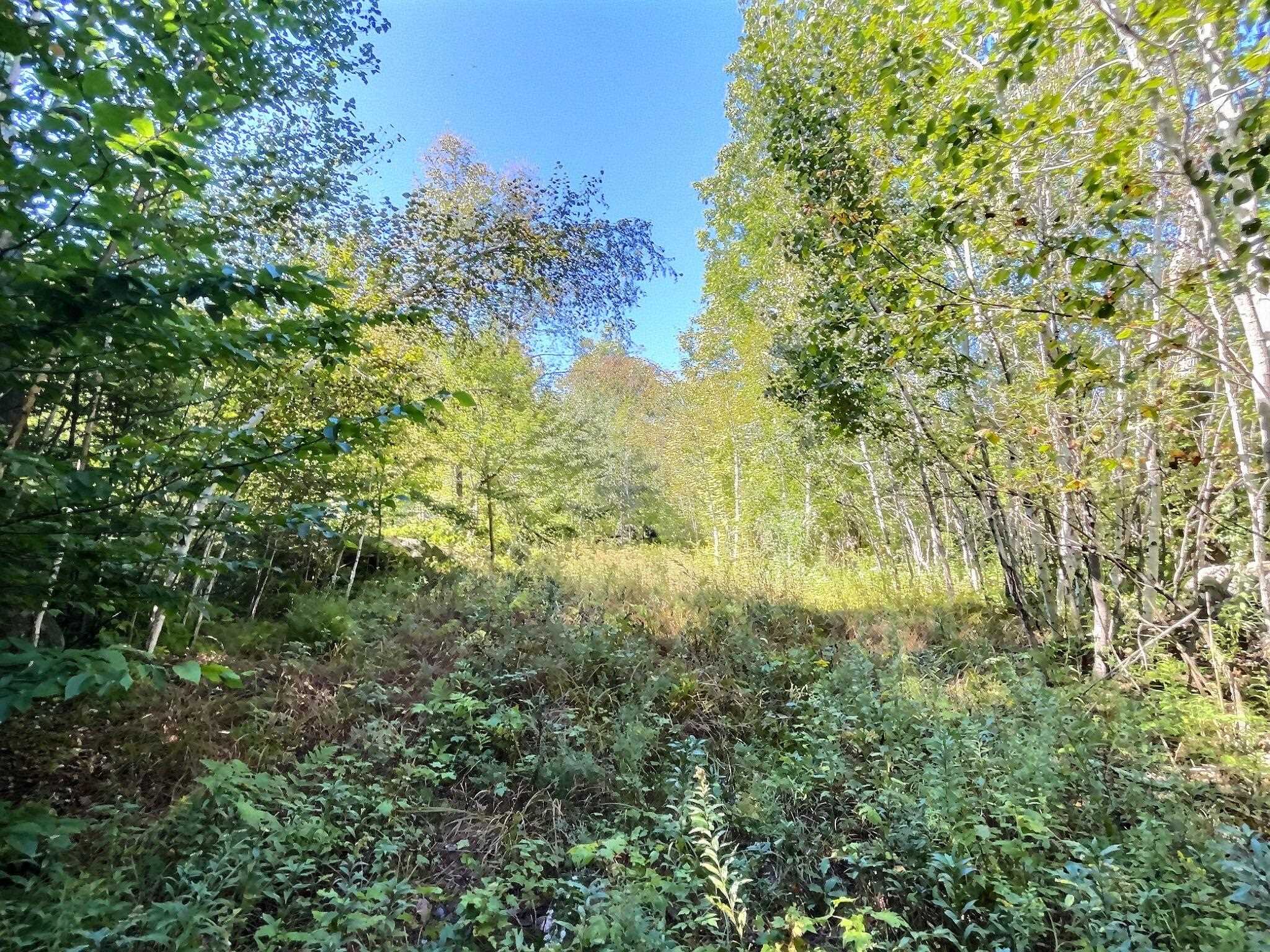 0 Chandlers Mill Road Newport, NH 03773 - Photo 20 of 25 Gallery Image 20