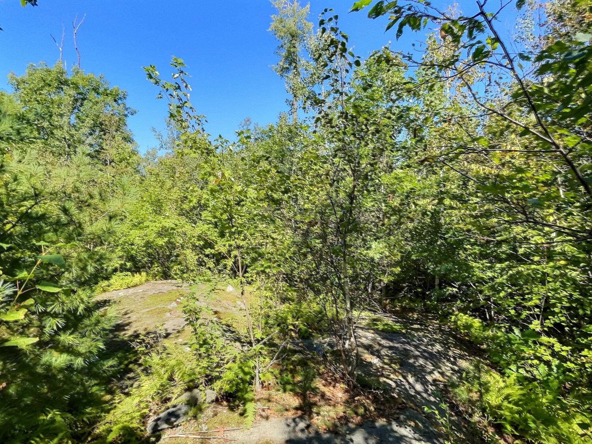 0 Chandlers Mill Road Newport, NH 03773 - Photo 21 of 25 Gallery Image 21