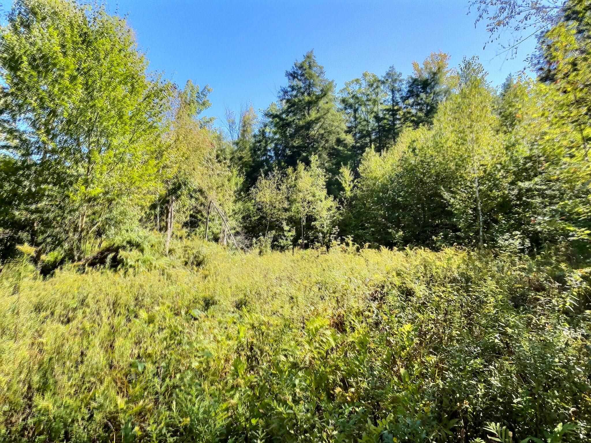 0 Chandlers Mill Road Newport, NH 03773 - Photo 22 of 25 Gallery Image 22