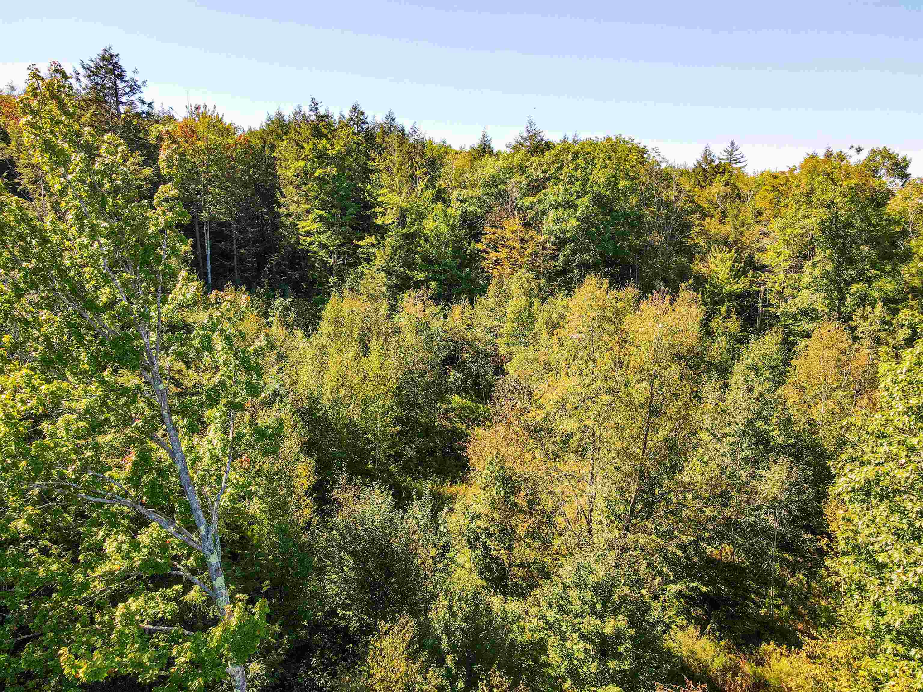 0 Chandlers Mill Road Newport, NH 03773 - Photo 23 of 25 Gallery Image 23