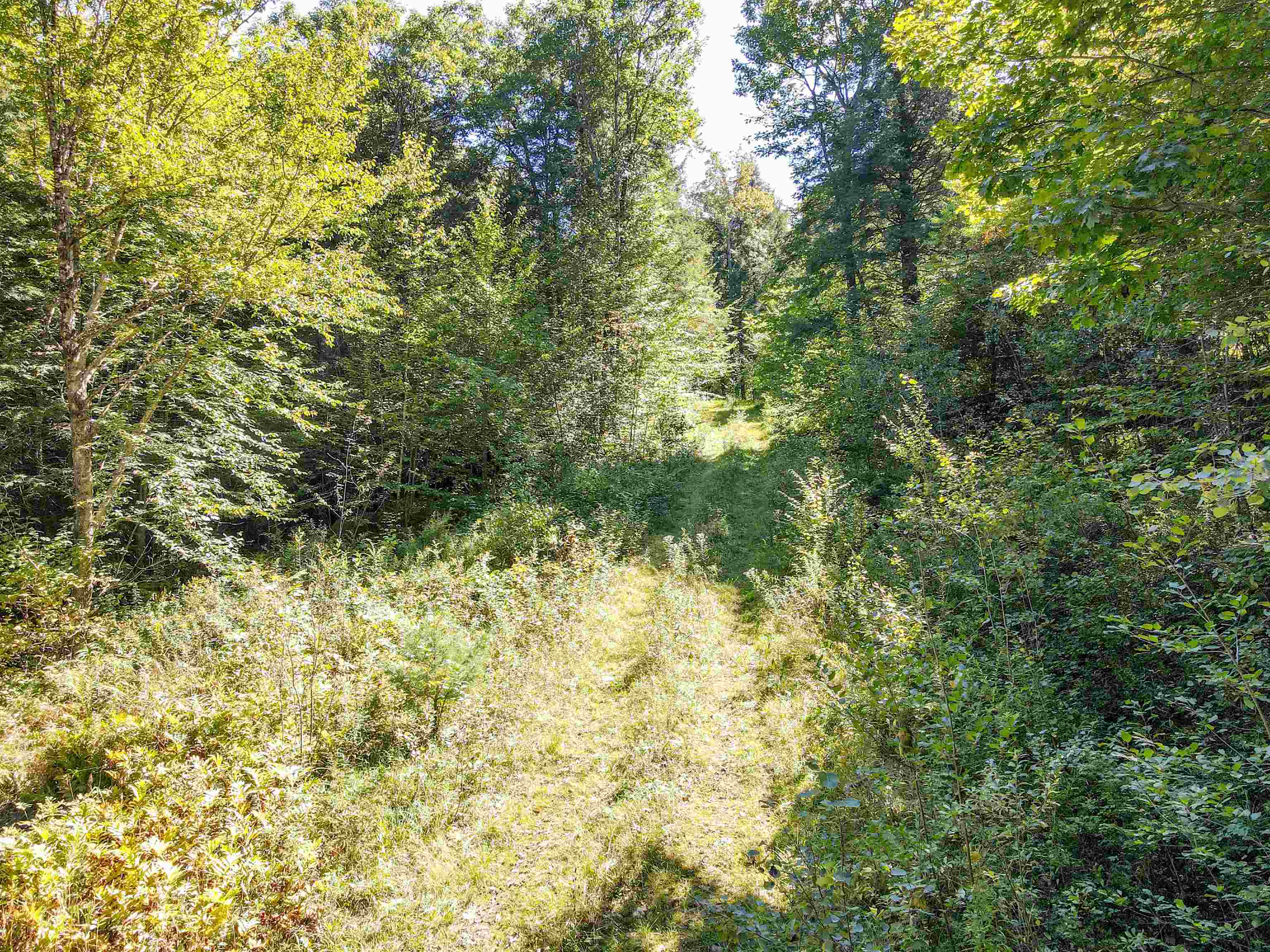 0 Chandlers Mill Road Newport, NH 03773 - Photo 5 of 25 Gallery Image 5