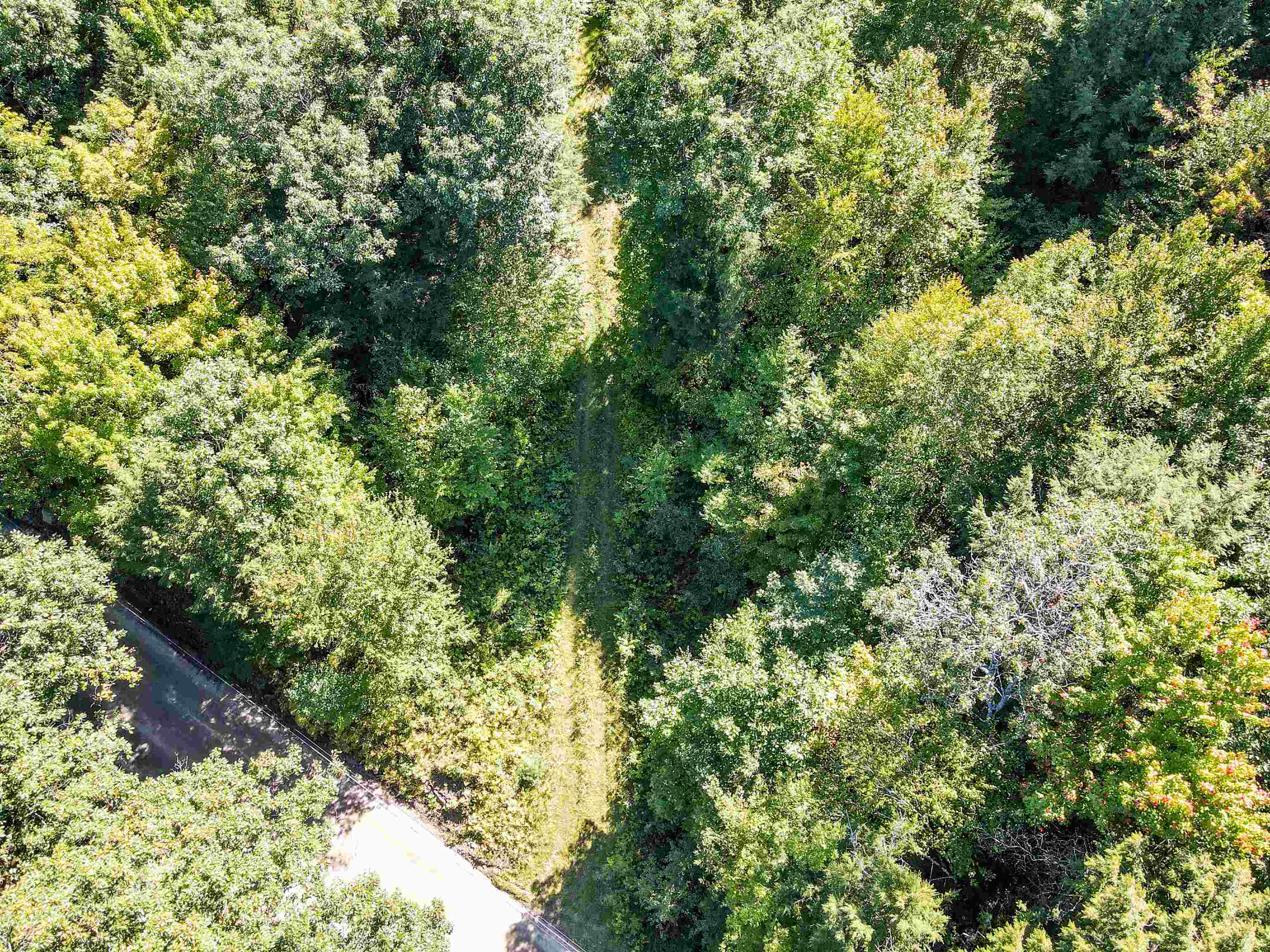0 Chandlers Mill Road Newport, NH 03773 - Photo 6 of 25 Gallery Image 6