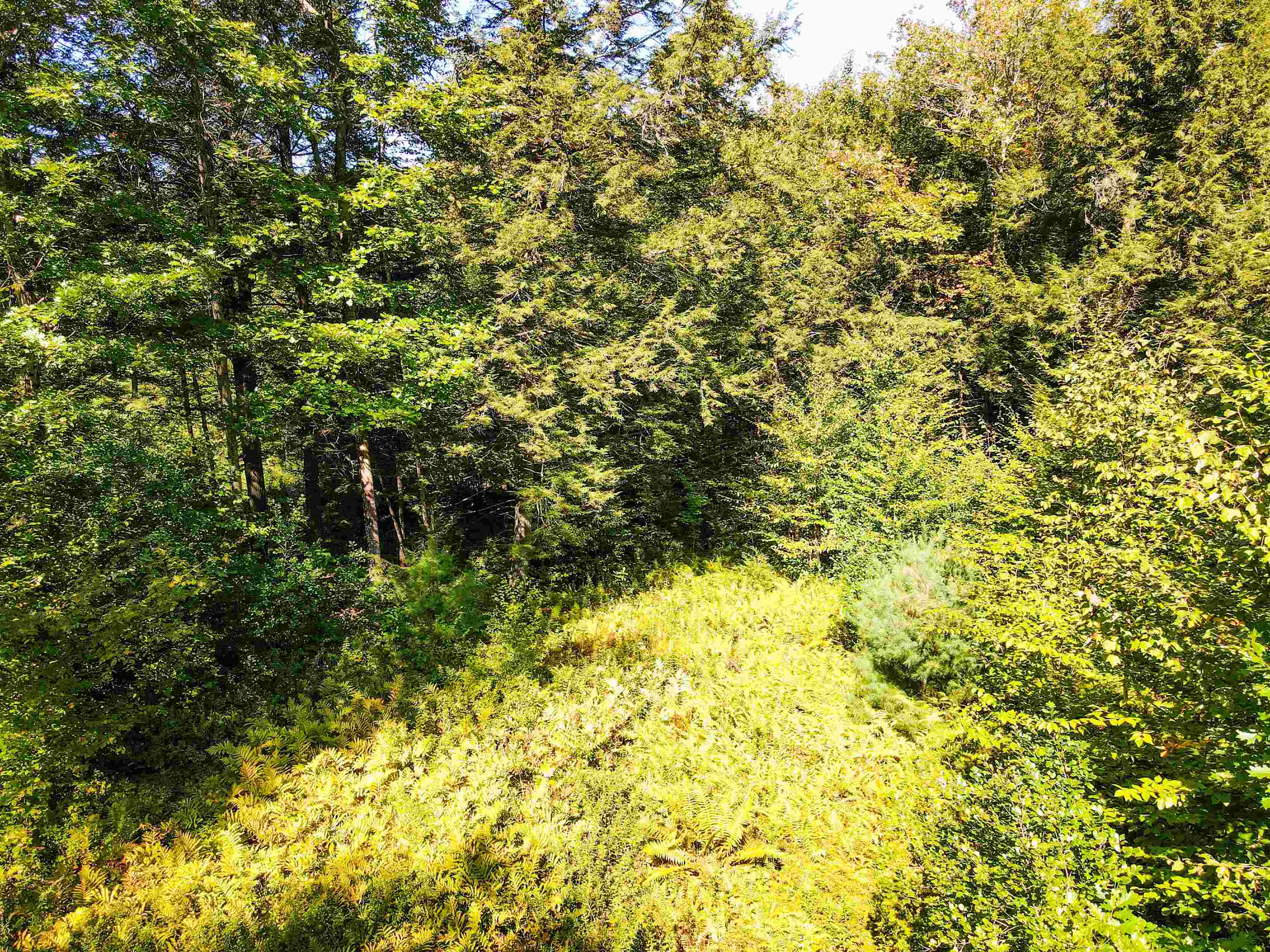 0 Chandlers Mill Road Newport, NH 03773 - Photo 8 of 25 Gallery Image 8