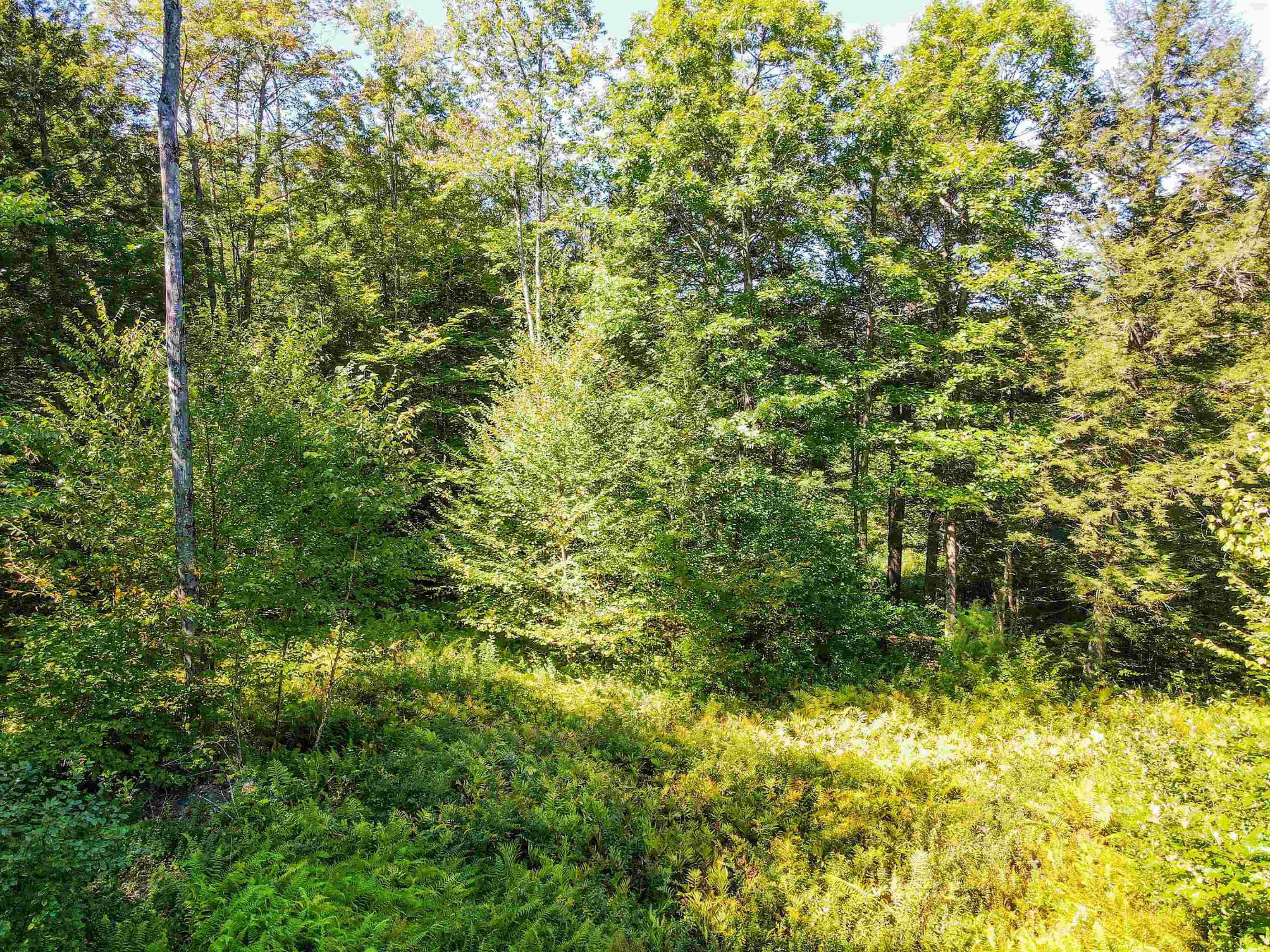 0 Chandlers Mill Road Newport, NH 03773 - Photo 9 of 25 Gallery Image 9