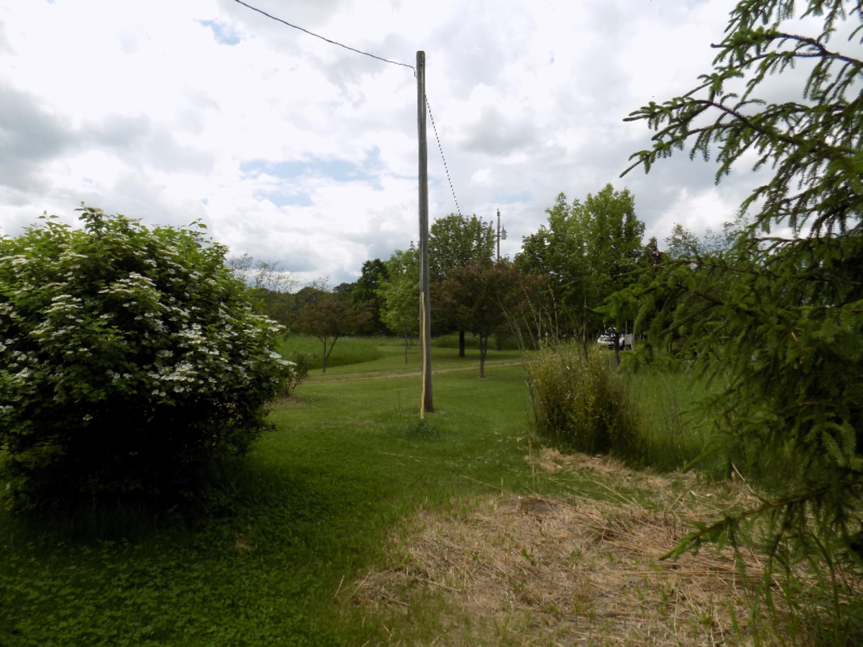 4219 Keith Road Brethren, MI 49619 - Photo 13 of 28 DSCN0814