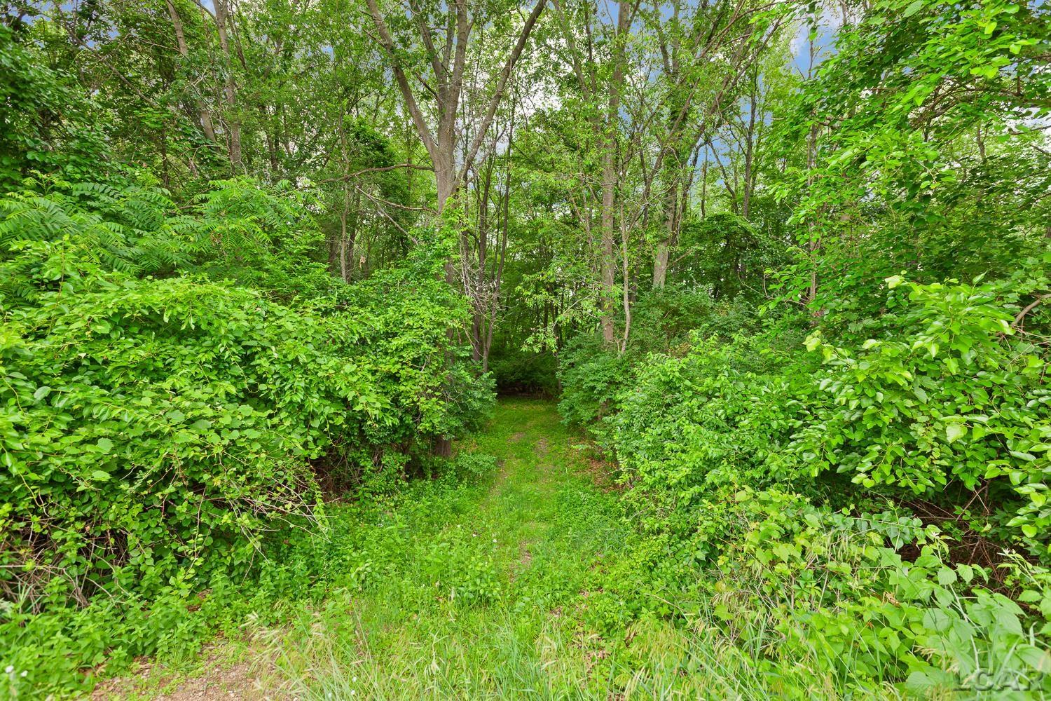 2010 South Kane Road Stockbridge, MI 49285 - Photo 63 of 80