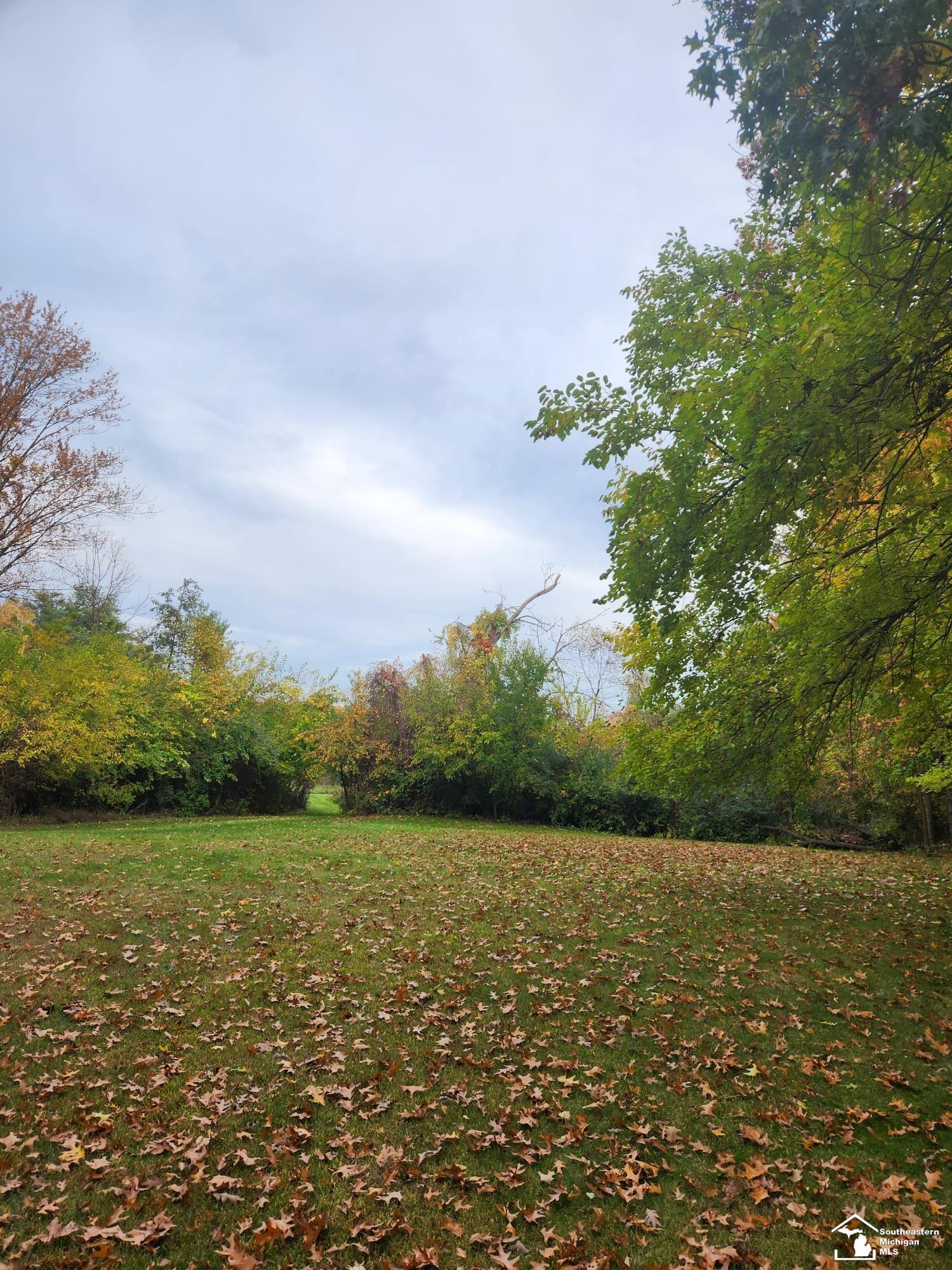363 Santure Road Monroe, MI 48162 - Photo 49 of 52