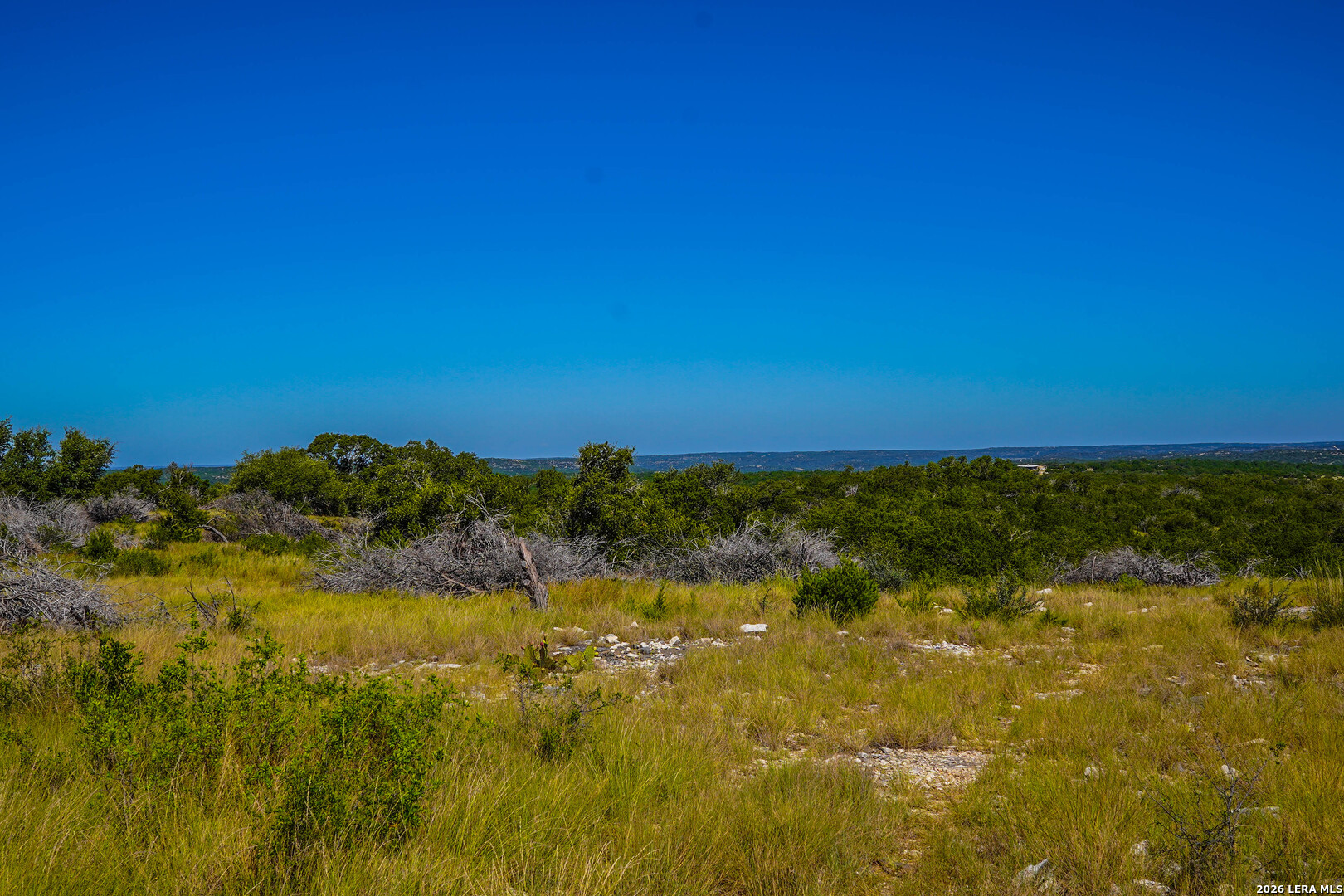 14468 County Road 310 Rocksprings, TX 78880 - Photo 28 of 101 Gallery Image 28