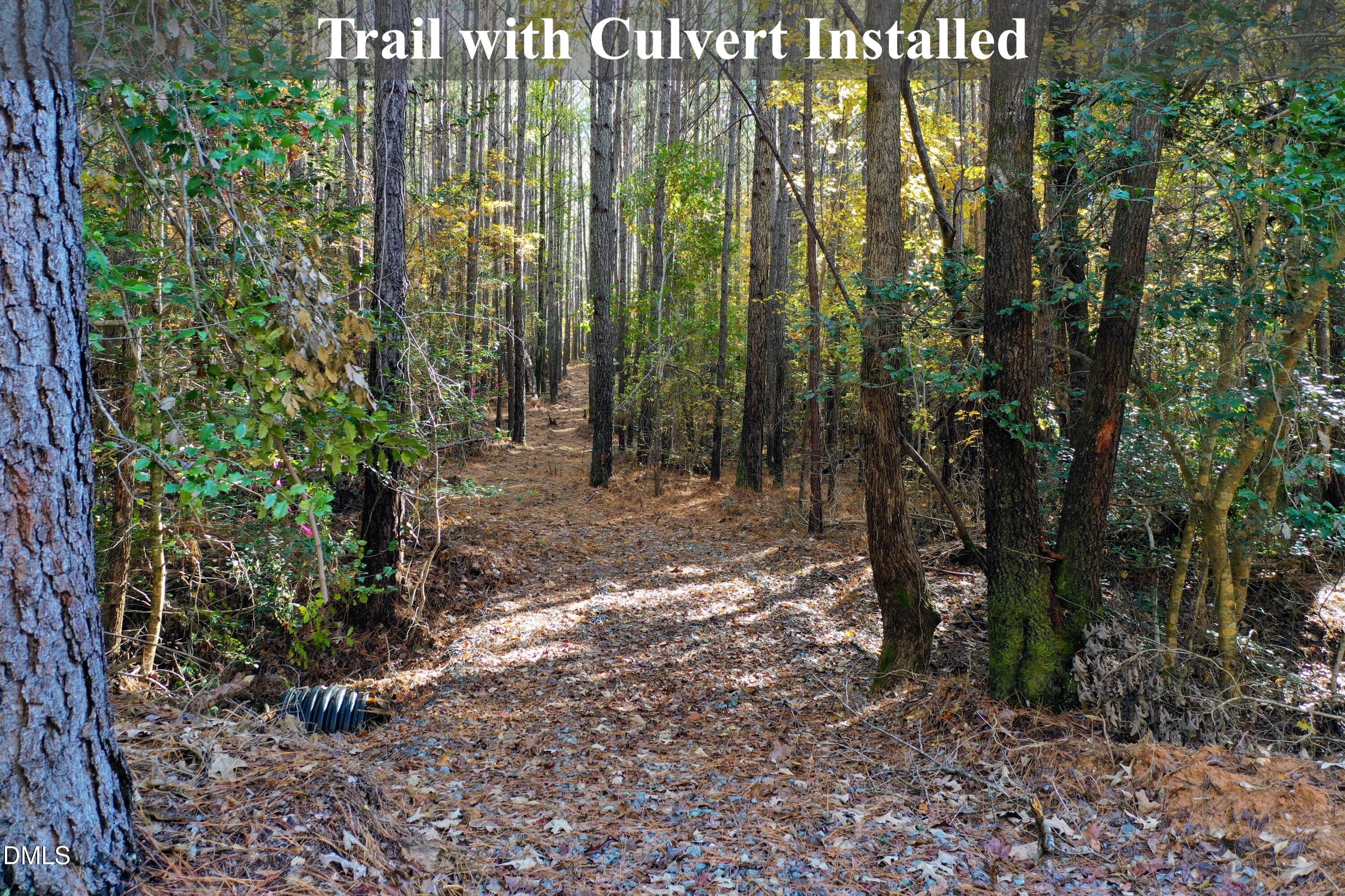 278 John Headen Road Moncure, NC 27559 - Photo 4 of 14 a backyard of a house with lots of green space