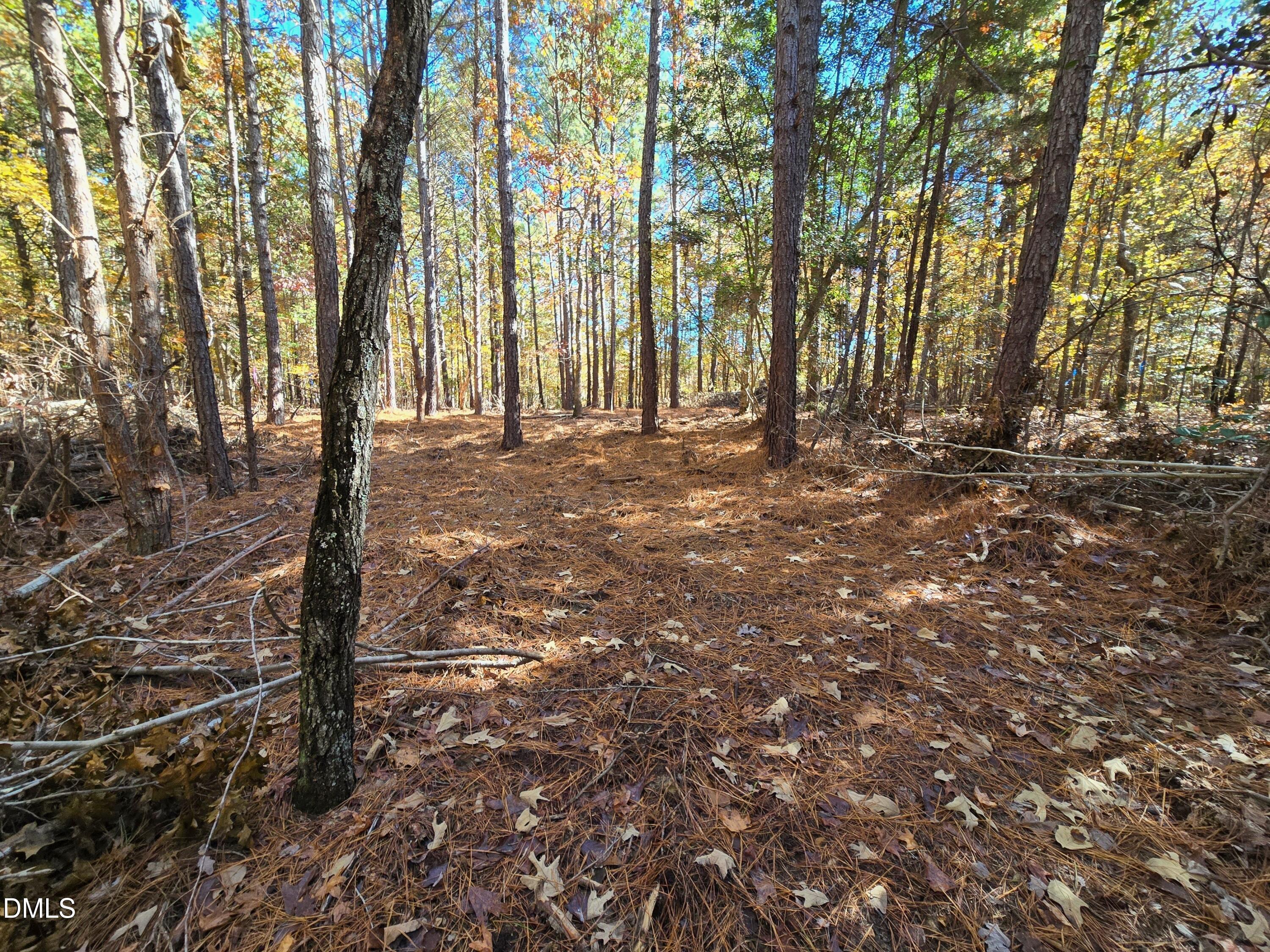 278 John Headen Road Moncure, NC 27559 - Photo 5 of 14 a view of outdoor space with deck and tree