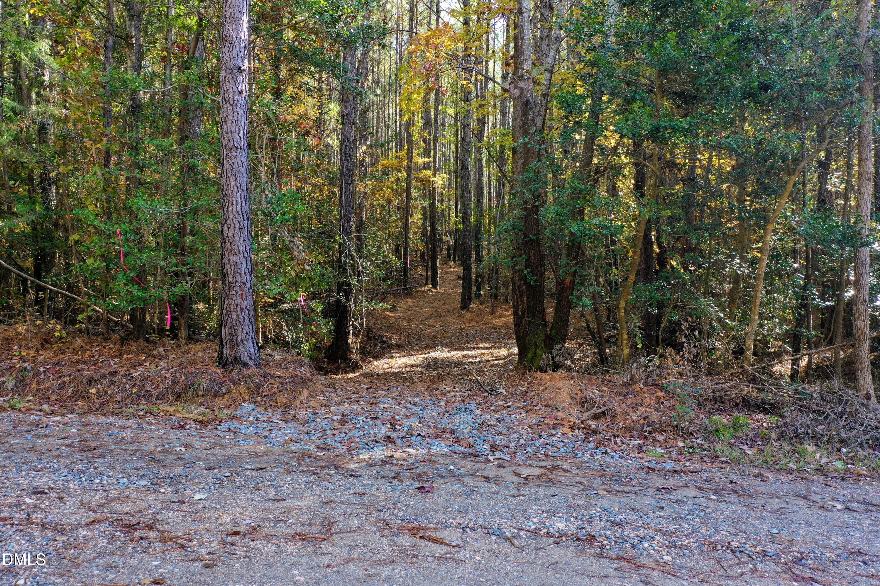 278 John Headen Road Moncure, NC 27559 - Photo 6 of 14 a view of a forest with trees in the background