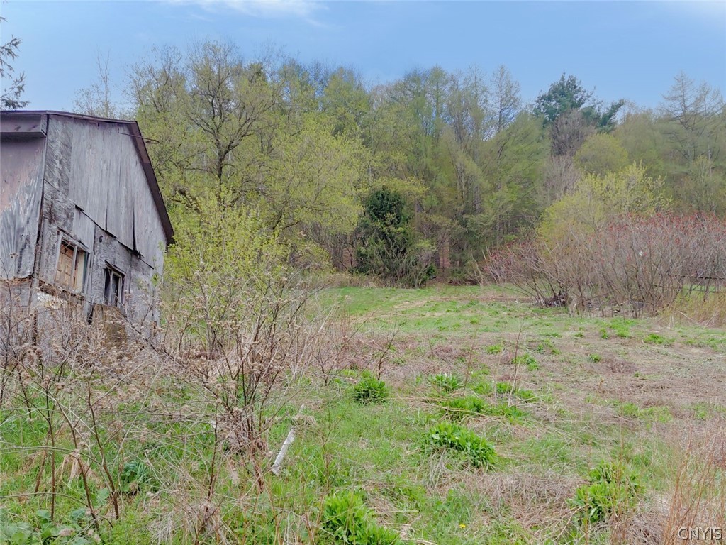 7534 East Keeney Road Cuyler, NY 13158 - Photo 9 of 42