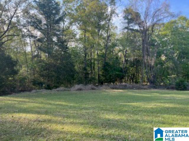 1931 Driving Range Road Cropwell, AL 35054 - Photo 24 of 24