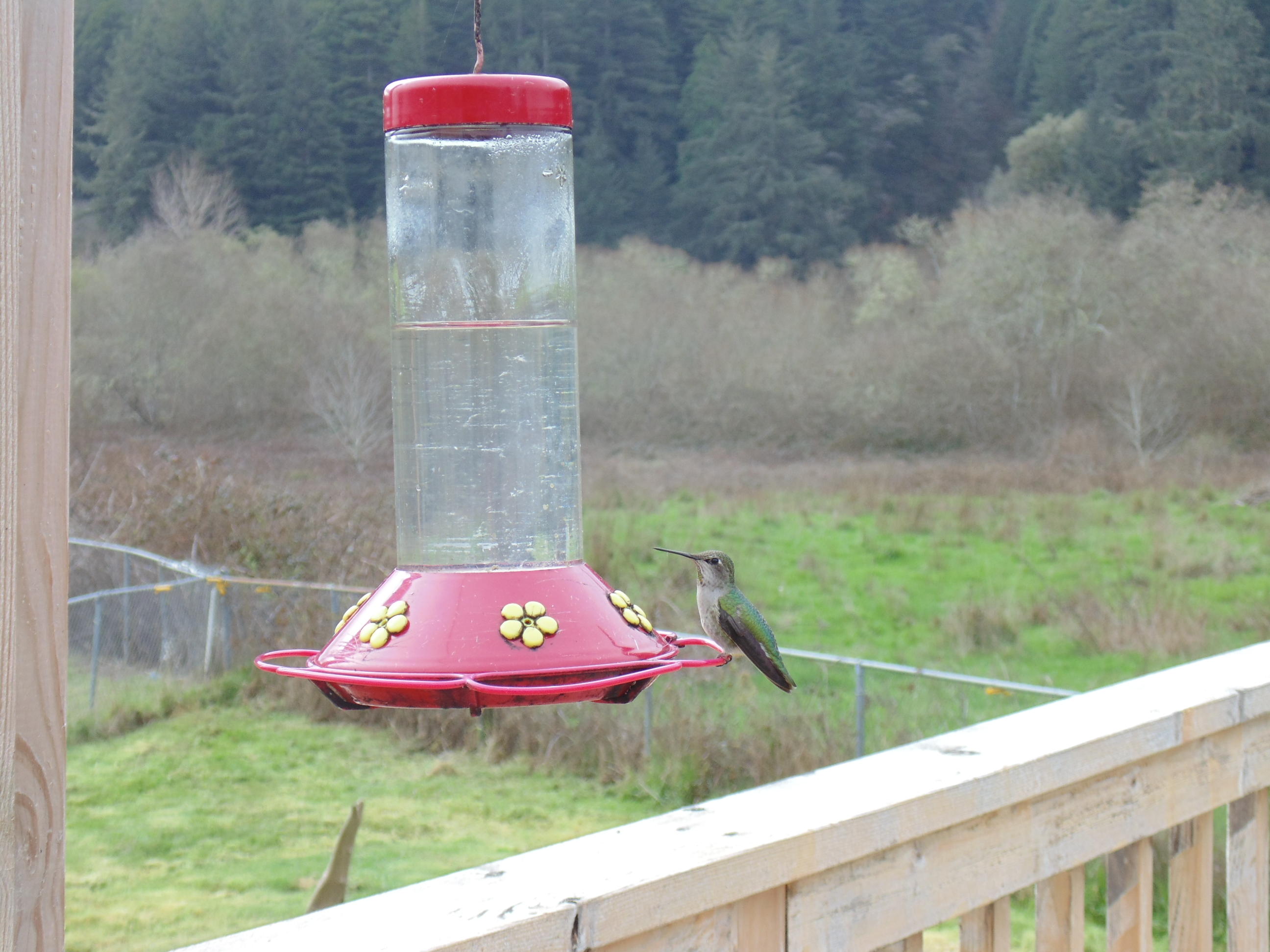 1256 Freshwater Road Eureka, CA 95503 - Photo 62 of 78 Gallery Image 62