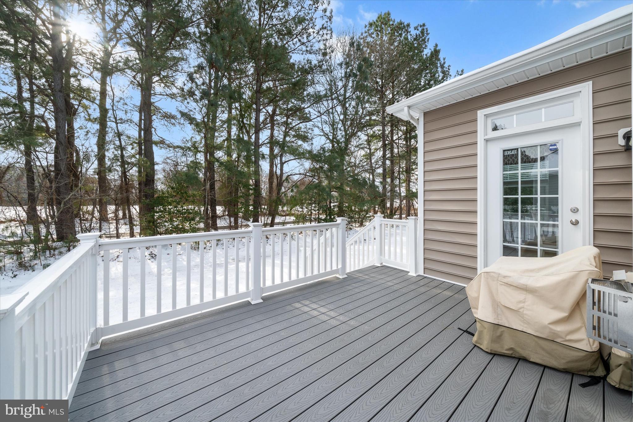 34497 Spring Brook Avenue Lewes, DE 19958 - Photo 23 of 39 Private maintenance free deck