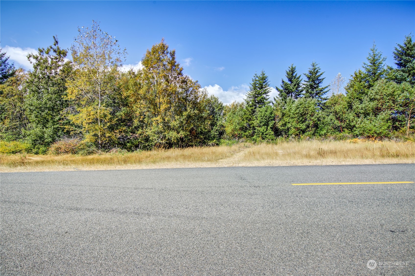 45 Quail Ridge Court Port Townsend, WA 98368 - Photo 11 of 18 a view of a yard and mountain view