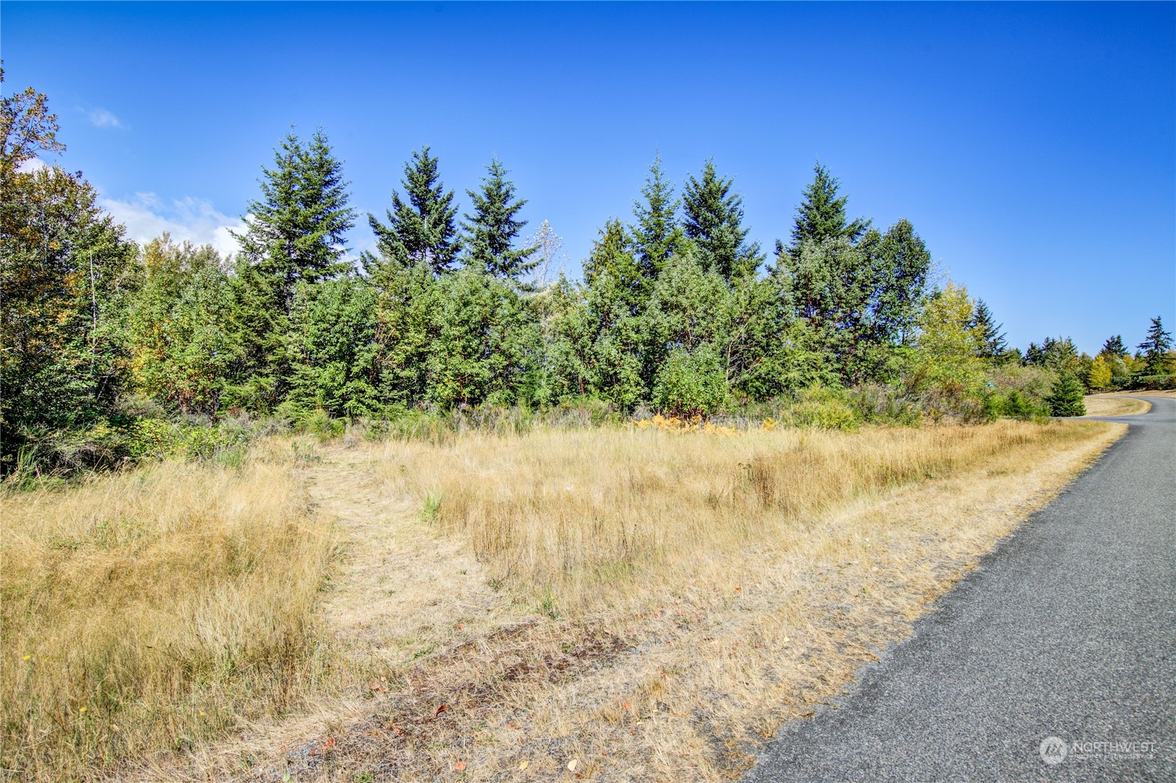 45 Quail Ridge Court Port Townsend, WA 98368 - Photo 12 of 18 a view of a yard with trees