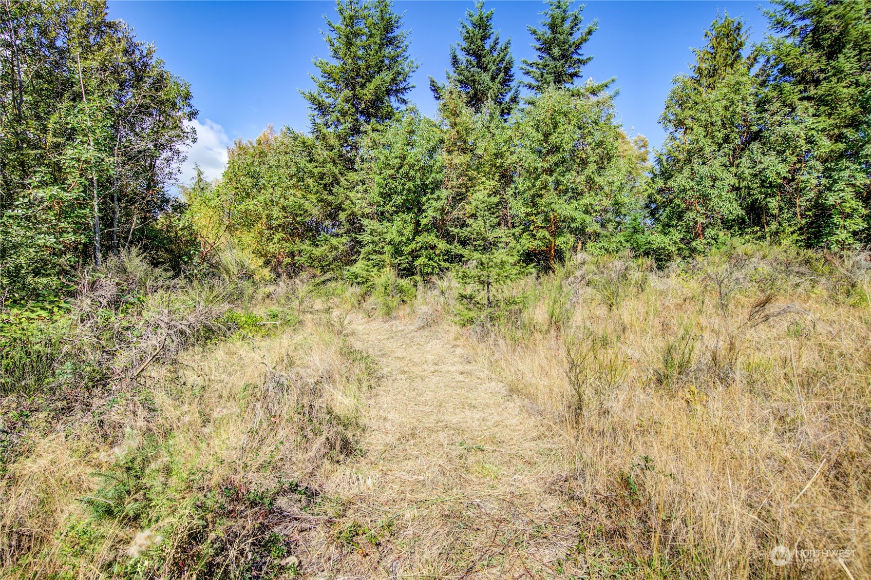 45 Quail Ridge Court Port Townsend, WA 98368 - Photo 13 of 18 a view of a yard with a tree
