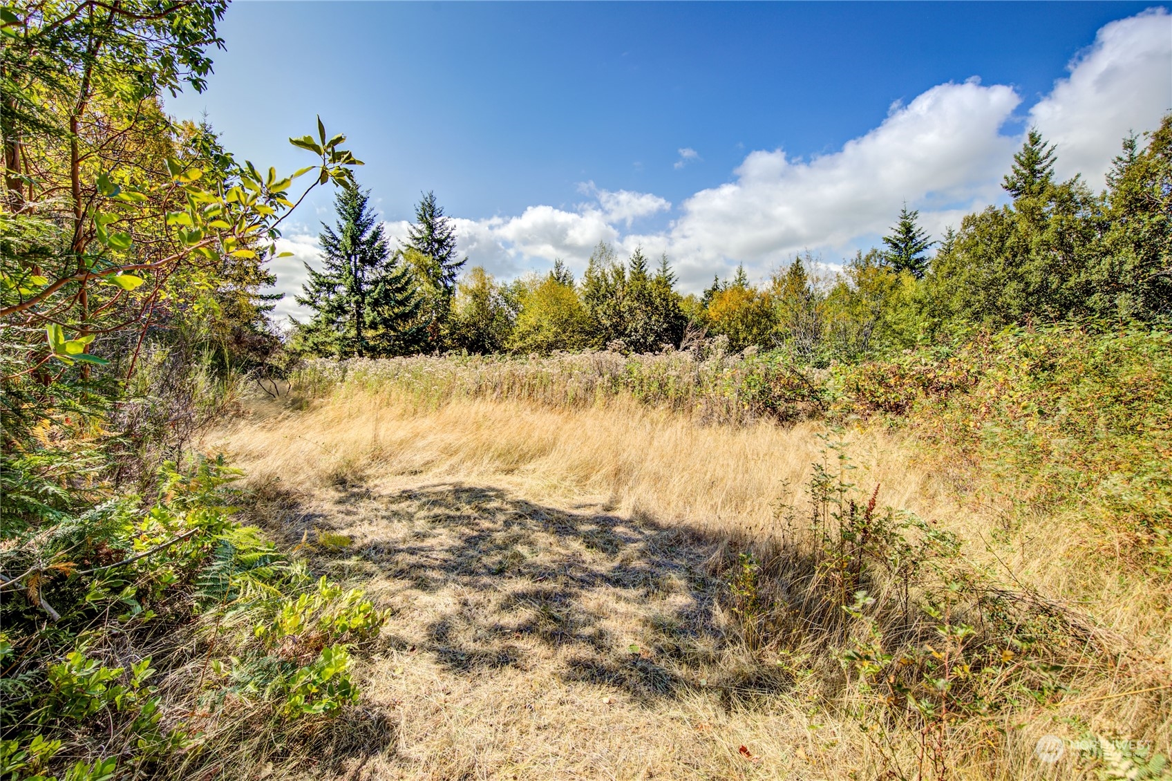 45 Quail Ridge Court Port Townsend, WA 98368 - Photo 14 of 18 a view of ocean