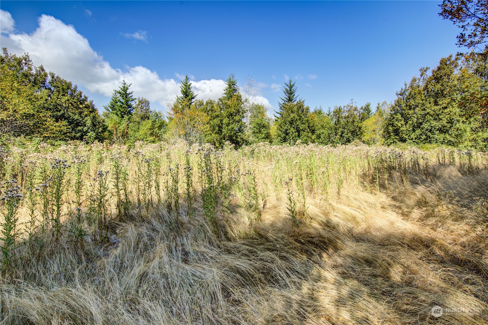 45 Quail Ridge Court Port Townsend, WA 98368 - Photo 15 of 18 a view of lake