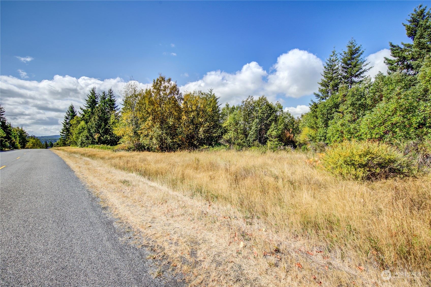 45 Quail Ridge Court Port Townsend, WA 98368 - Photo 10 of 18 a view of a yard with a tree