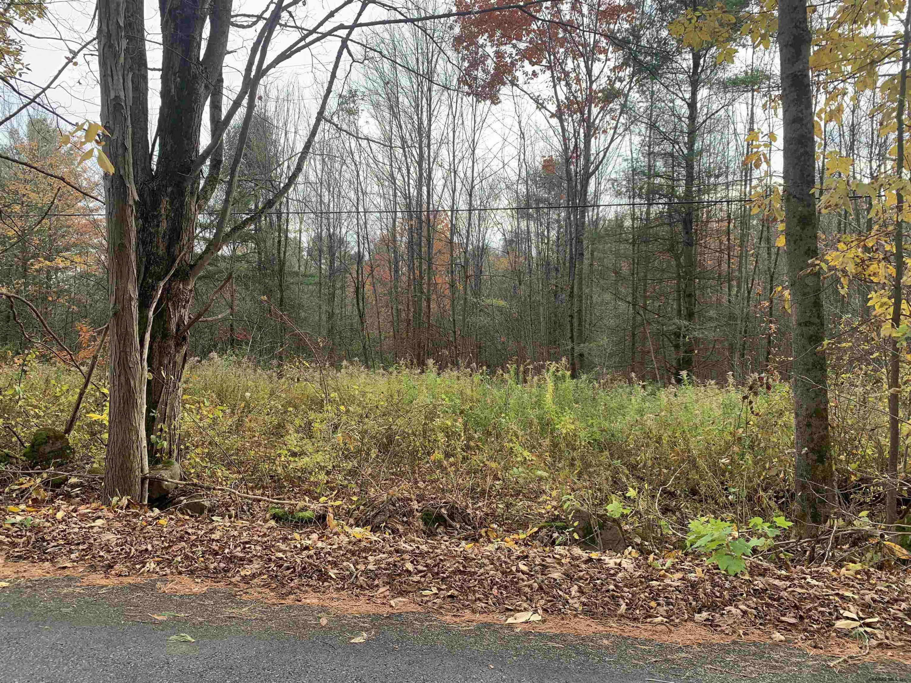 107 Wemple Road Johnstown, NY 12095 - Photo 2 of 4 Photo 2