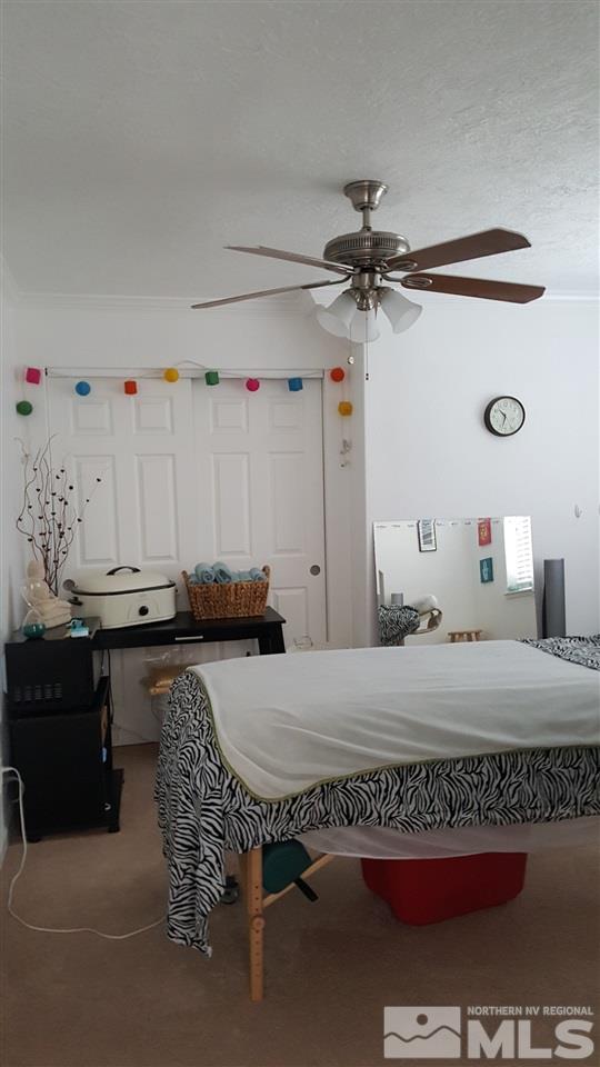 5420 Salk Road Carson City, NV 89706 - Photo 14 of 20 Photo 14