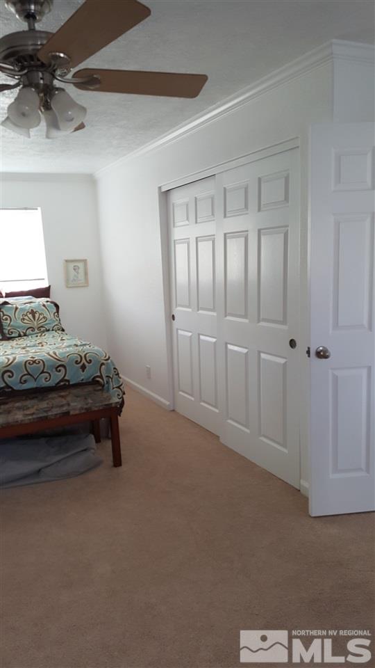5420 Salk Road Carson City, NV 89706 - Photo 17 of 20 Photo 17