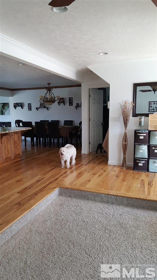 5420 Salk Road Carson City, NV 89706 - Photo 8 of 20 Photo 8