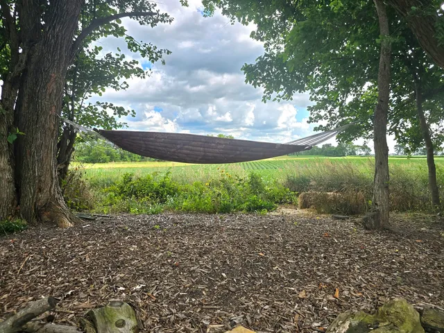 a view of a city with lush green forest