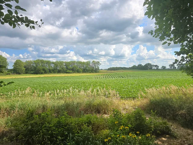 a backyard of a house with lots of green space and garden