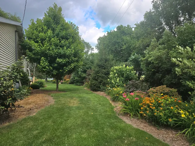 a view of a backyard with plants and entertaining space