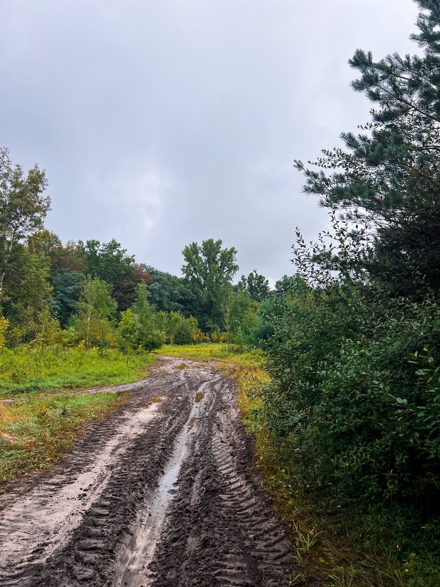V/l Marion Road Chesaning, MI 48616 - Photo 12 of 16