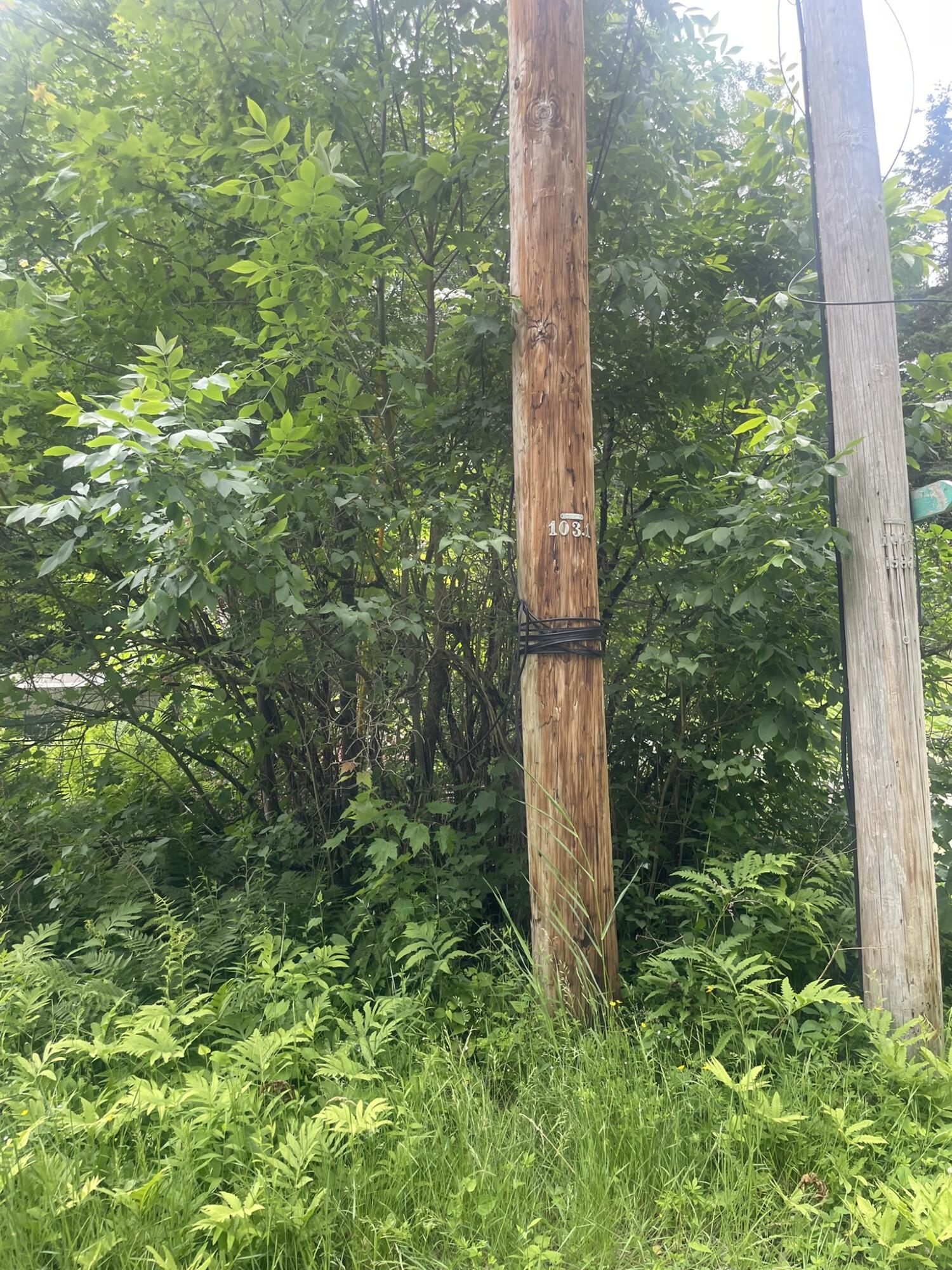 1075 Hill Road Clinton, ME 04927 - Photo 172 of 172 IMG_6275
