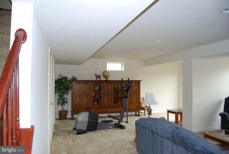 504 Woodrow Road Winchester, VA 22602 - Photo 1 of 17 Basement #2