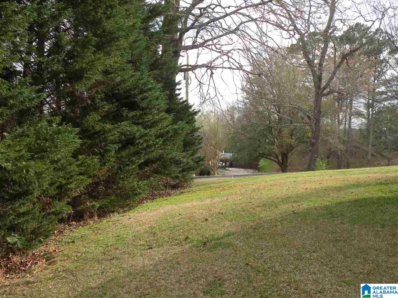 1820 Pleasant Ridge Drive Sylacauga, AL 35150 - Photo 33 of 33