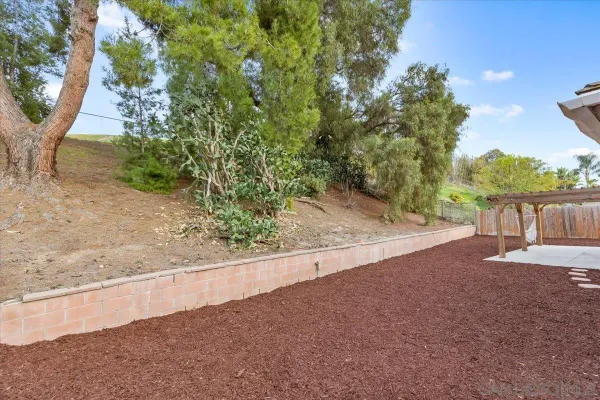 a view of a backyard with wooden fence and large trees
