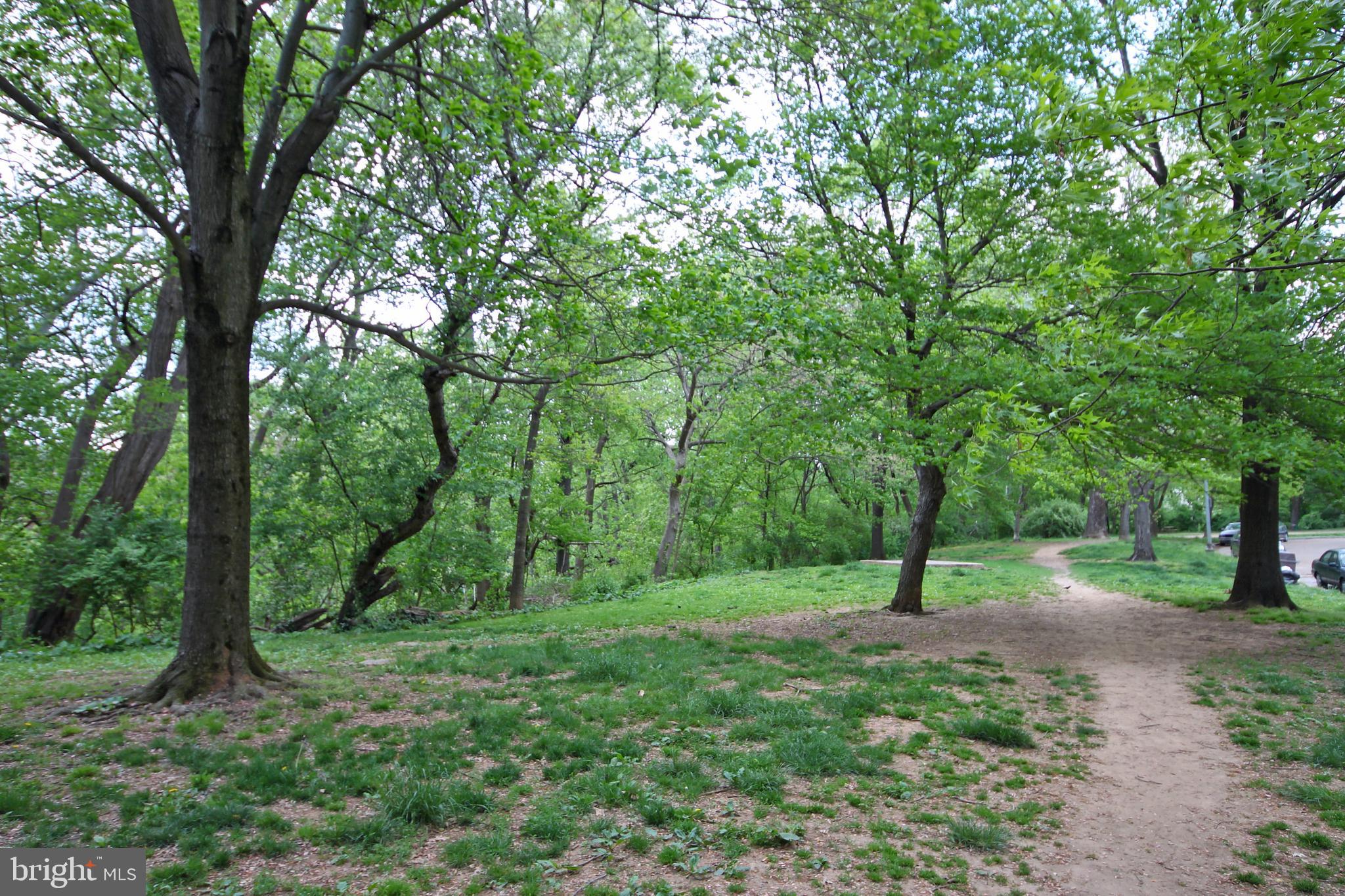2032 Belmont Road Northwest, Unit 334 Washington, DC 20009 - Photo 21 of 35 Walk to parks!