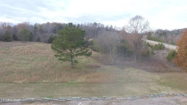 a view of a yard in front of a house