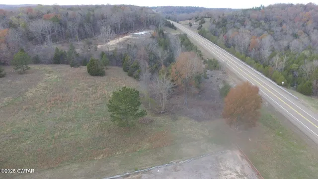 a view of a dry yard with trees