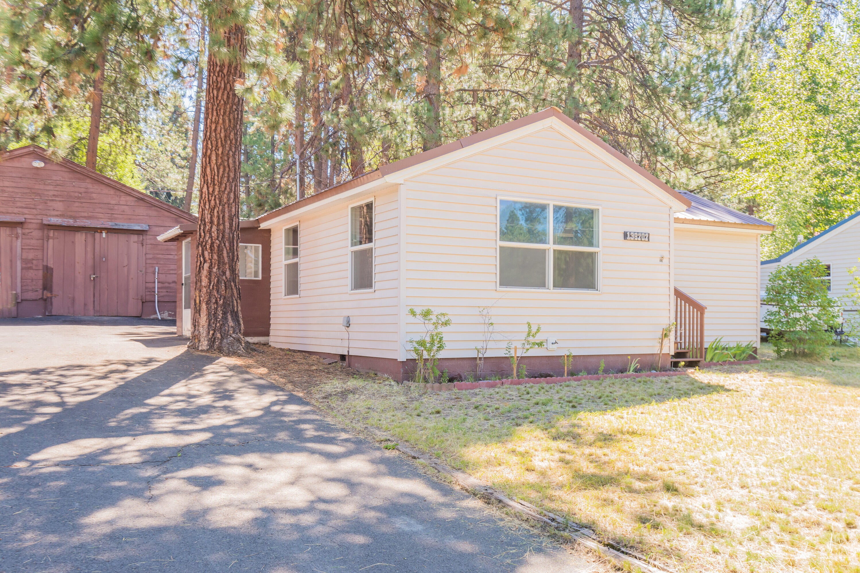 138707 Rhododendron St-print-001-008-01-