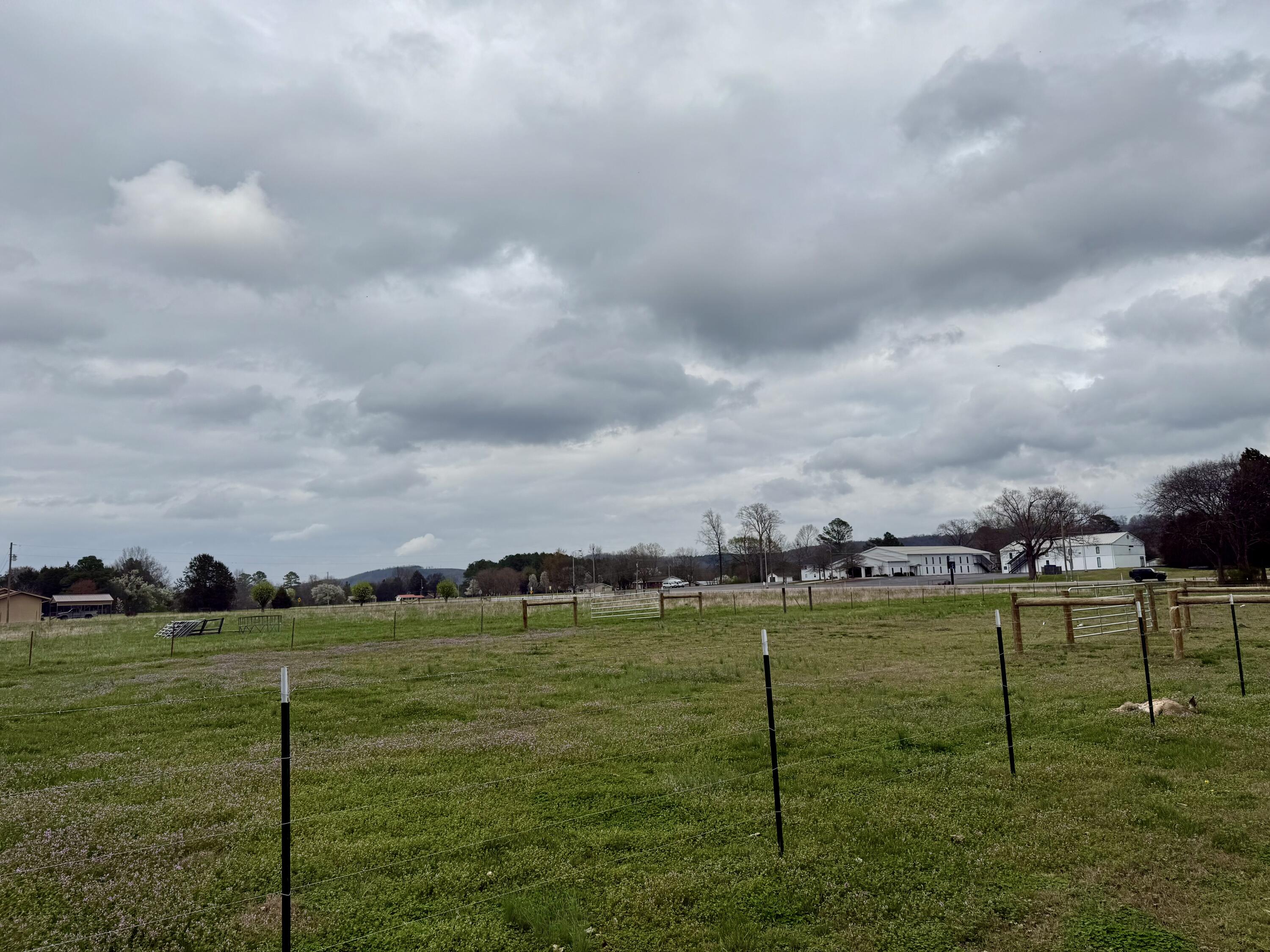 Lot #2 Eureka Road Northwest Charleston, TN 37310 - Photo 2 of 5 View from Moore RD