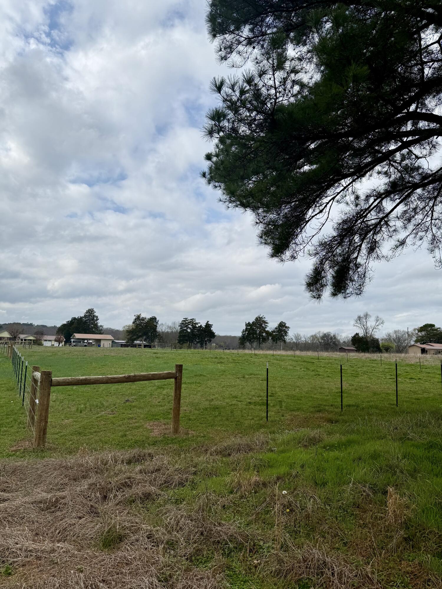 Lot #2 Eureka Road Northwest Charleston, TN 37310 - Photo 4 of 5 IMG_0460