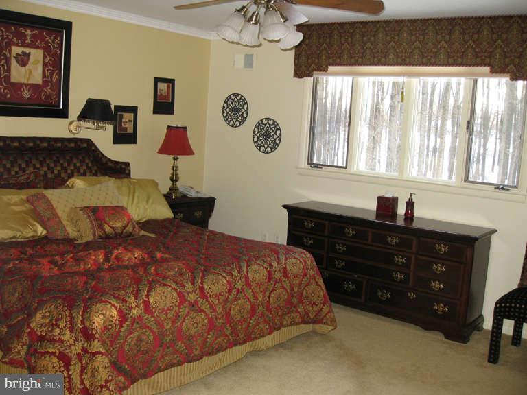 2117 Sondra Court Silver Spring, MD 20905 - Photo 21 of 30 Master Bedroom