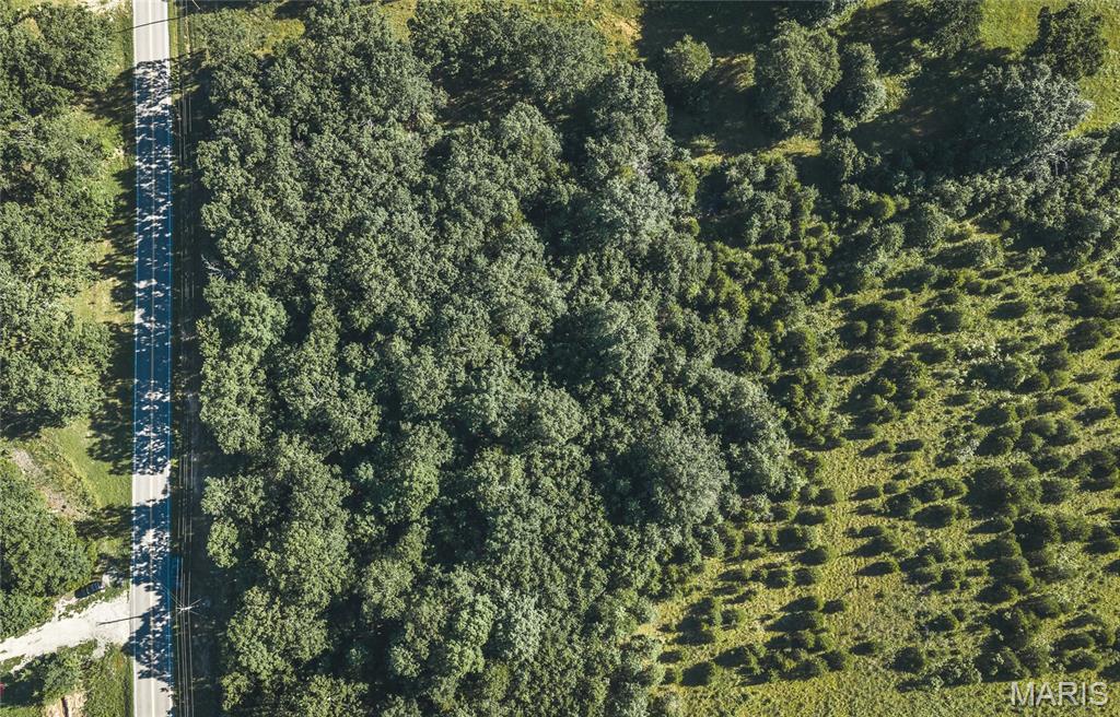 9.93-acres State Rte B St. James, MO 65559 - Photo 13 of 17